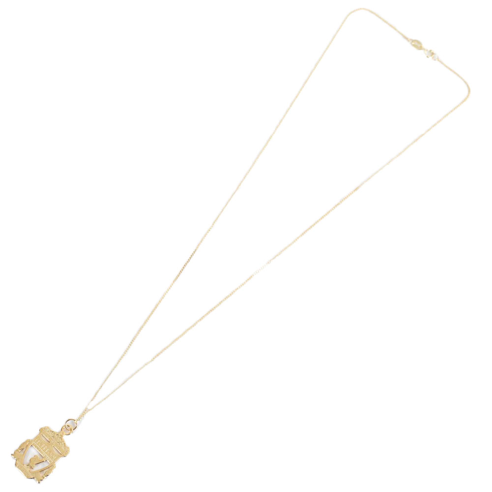 TM-05077-Liverpool-FC-18ct-Gold-Plated-on-Silver-Crest-Pendant-Chain-2.jpg